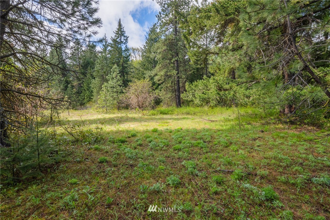 10 Old Cedars Road Cle Elum, WA 98922 - Photo 6 of 9 a view of a yard with plants and large trees