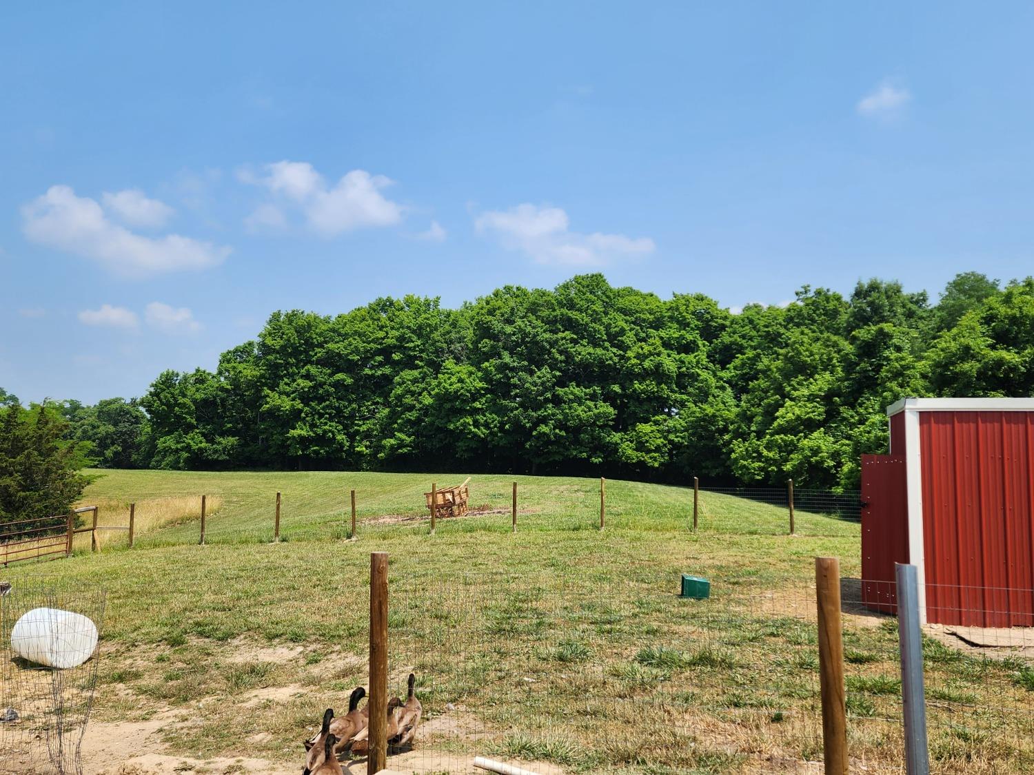 4154 Salem Ridge Road Aurora, IN 47001 - Photo 23 of 35 Nice pasture and hay field