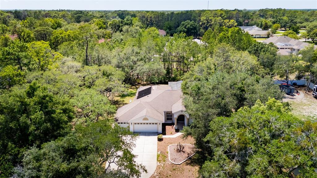 9183 Nightingale Road Weeki Wachee, FL 34613 - Photo 31 of 32