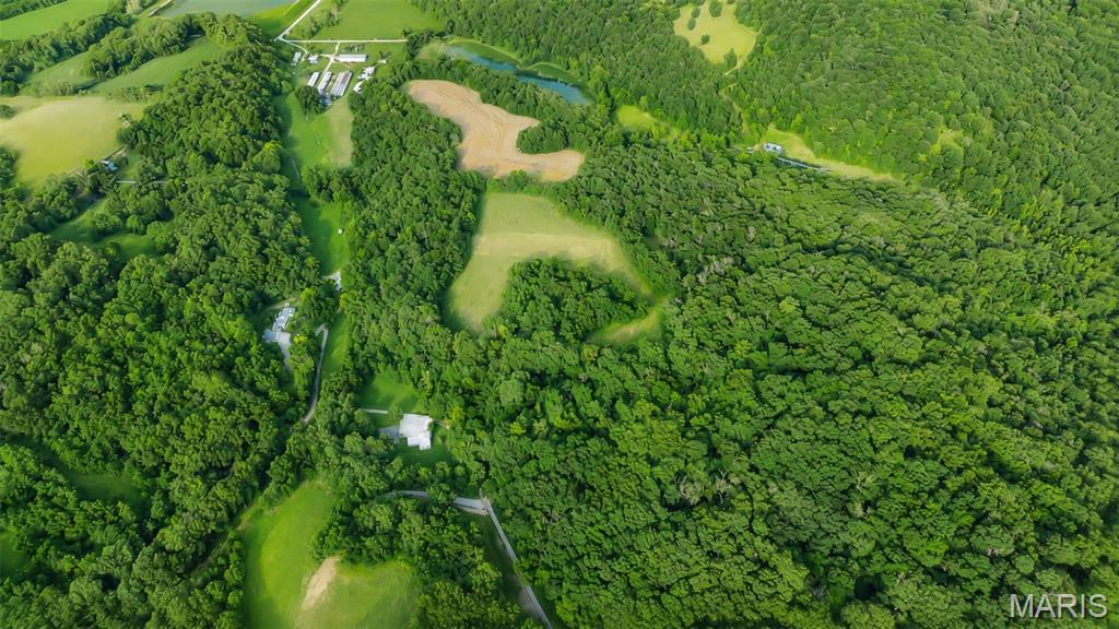 575 Schleeper Hollow Road Hardin, IL 62047 - Photo 7 of 61
