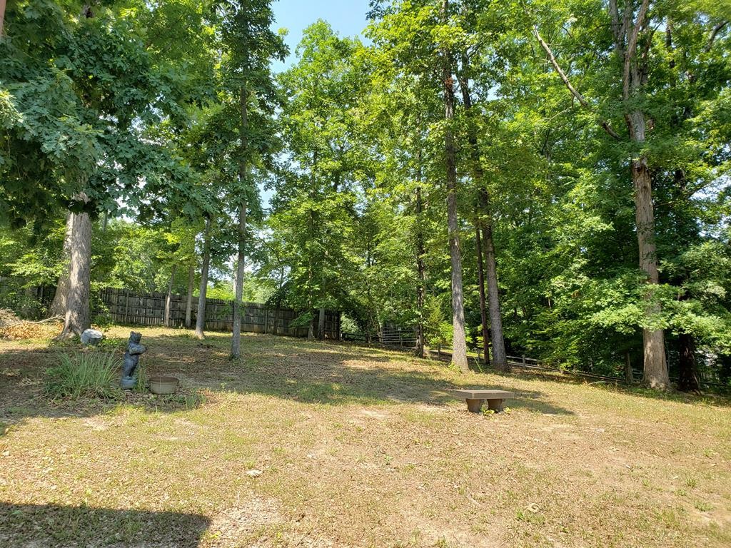 334 Catawba Road Bean Station, TN 37708 - Photo 34 of 57 Gallery Image 34