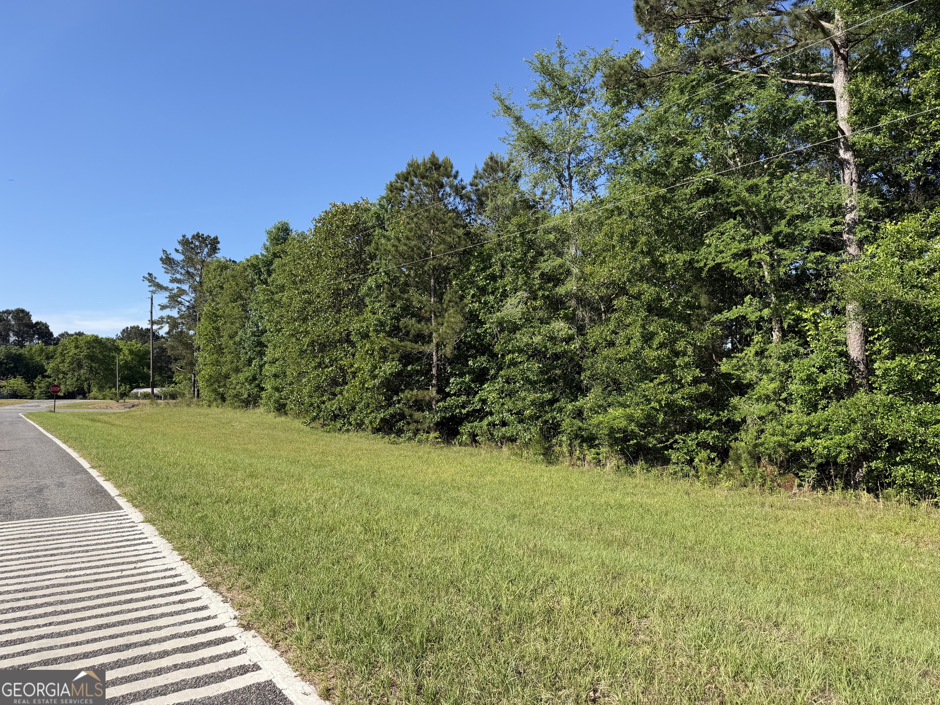 1.2-acres Beasley Road Roberta, GA 31078 - Photo 2 of 7