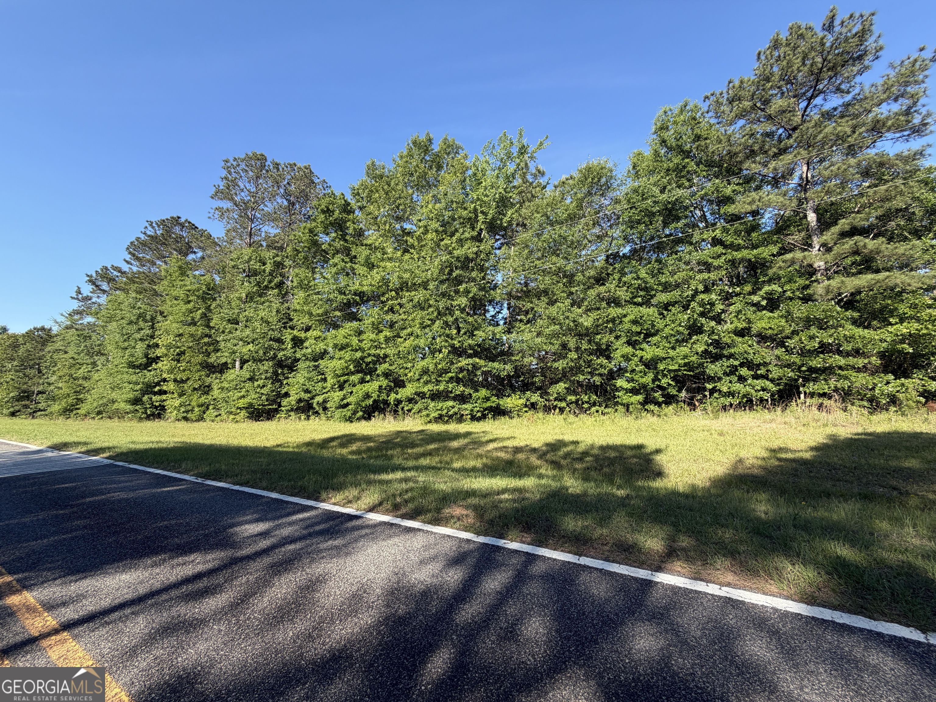 1.2-acres Beasley Road Roberta, GA 31078 - Photo 3 of 7