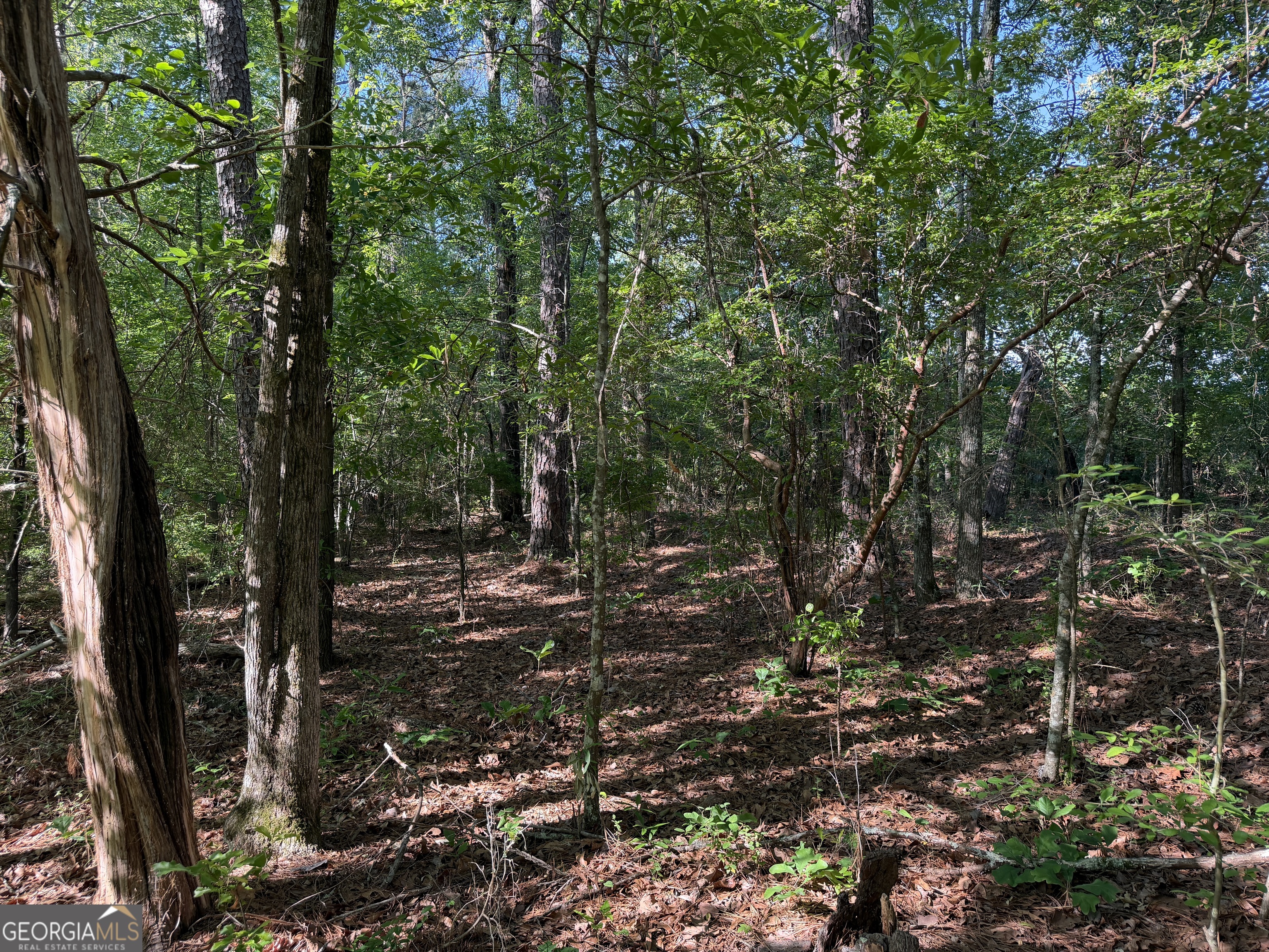 1.2-acres Beasley Road Roberta, GA 31078 - Photo 4 of 7