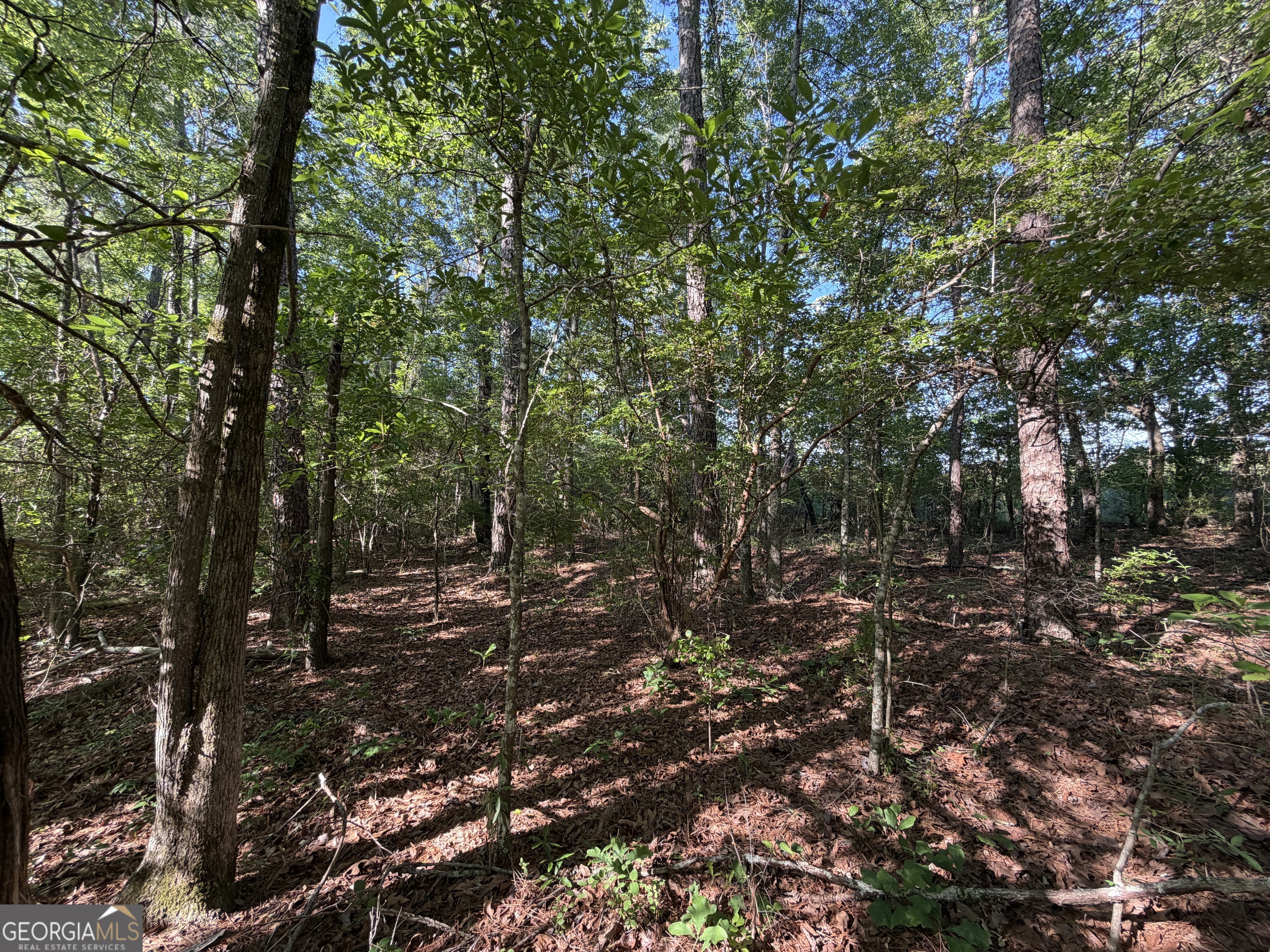 1.2-acres Beasley Road Roberta, GA 31078 - Photo 5 of 7