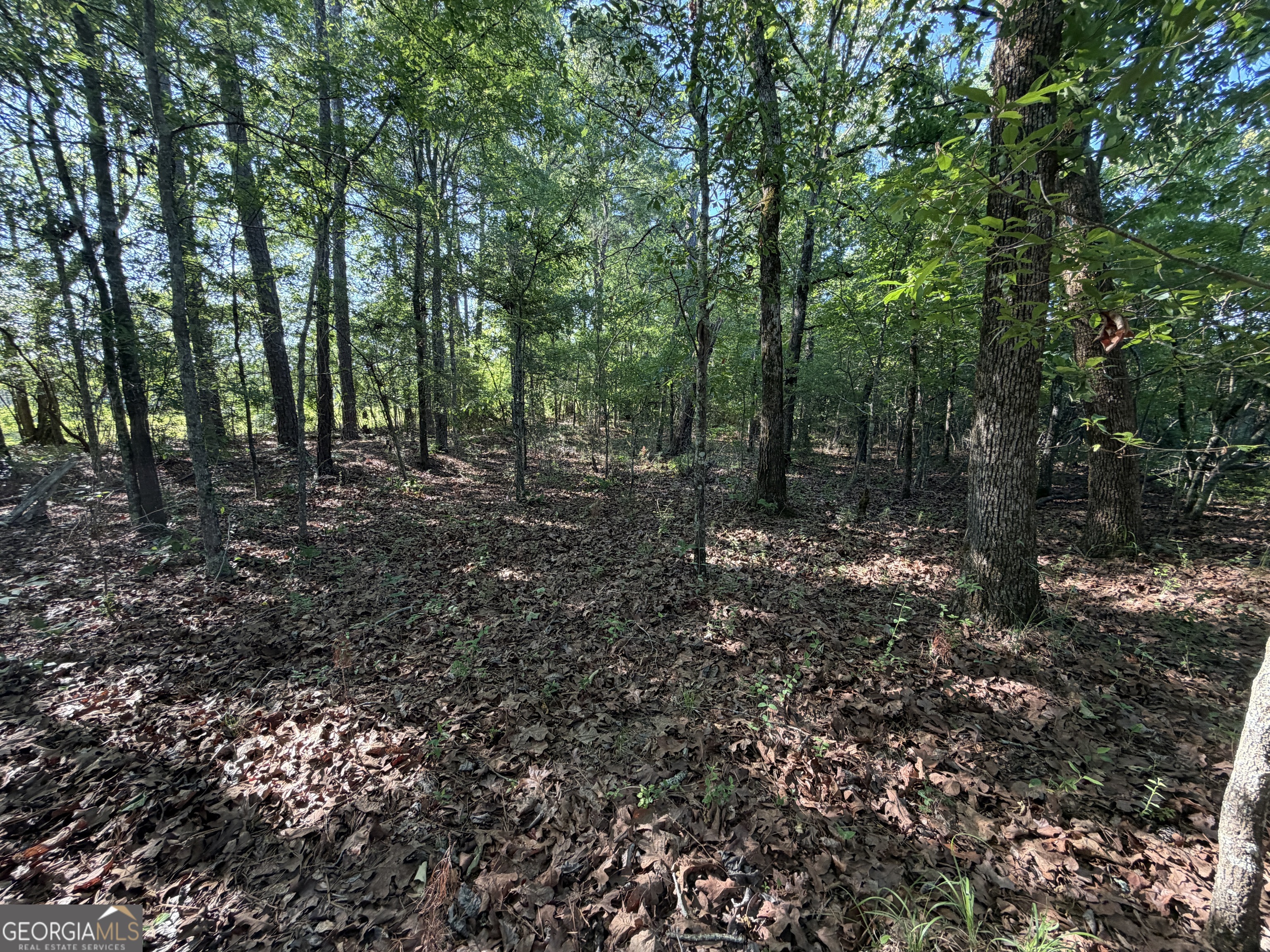 1.2-acres Beasley Road Roberta, GA 31078 - Photo 6 of 7