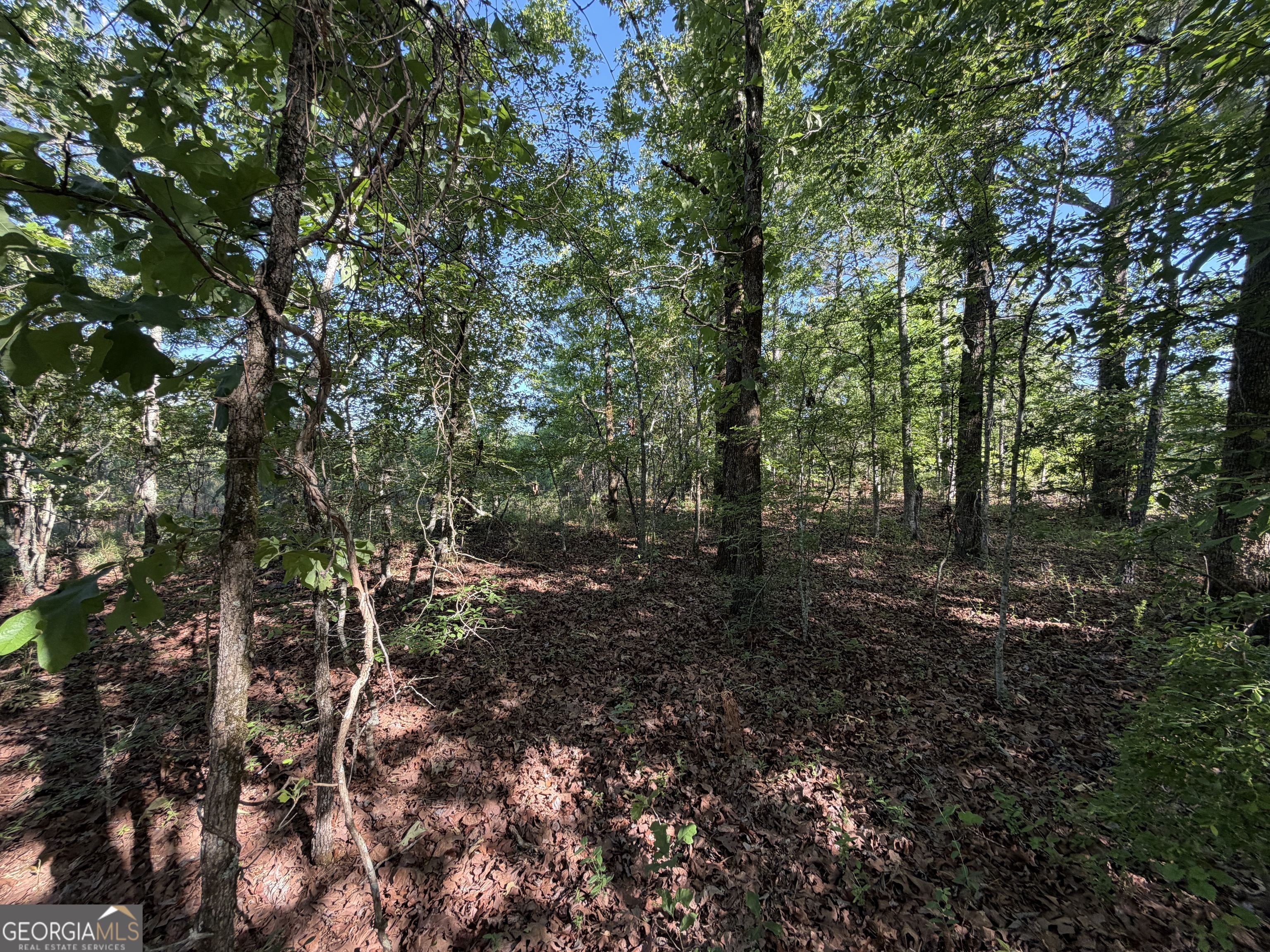 1.2-acres Beasley Road Roberta, GA 31078 - Photo 7 of 7