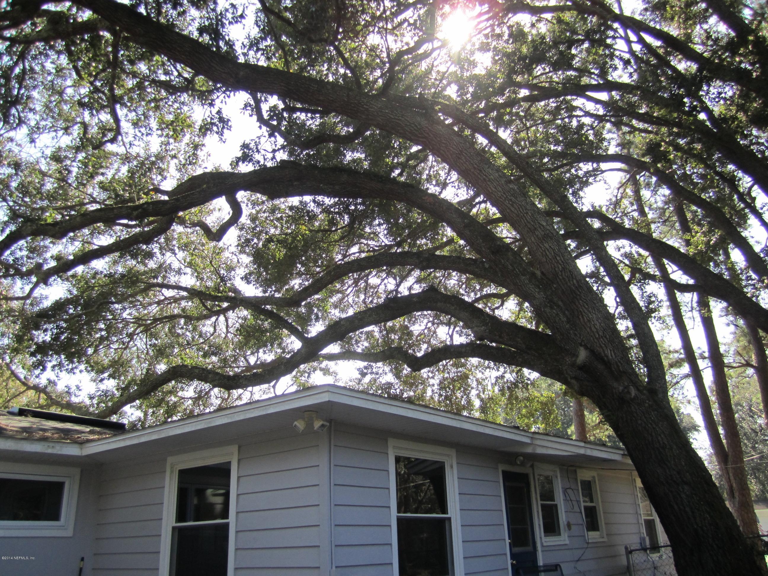 4677 Martingale Road Jacksonville, FL 32210 - Photo 18 of 24 Towering Oak Tree
