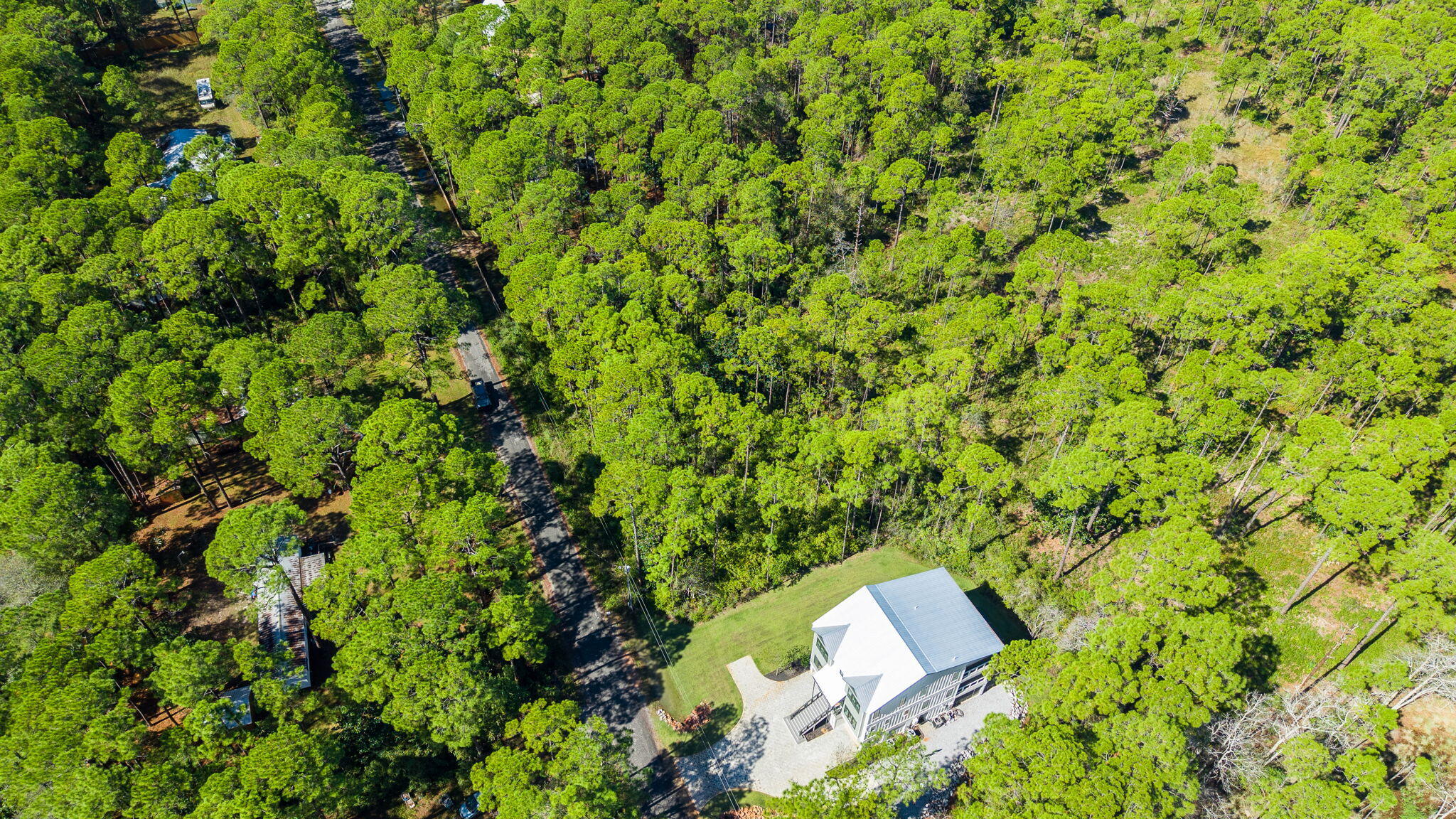 Lot 7-8 Crissman Road Santa Rosa Beach, FL 32459 - Photo 6 of 12 a view of a yard