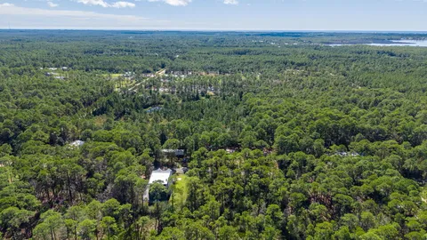 a view of a lush green forest with trees and some houses