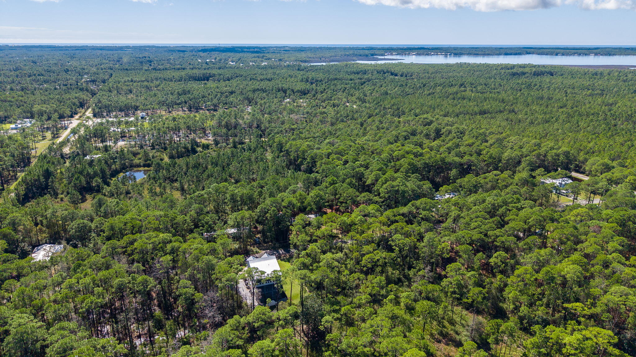 Lot 7-8 Crissman Road Santa Rosa Beach, FL 32459 - Photo 10 of 12 a view of a lush green forest with trees and some houses