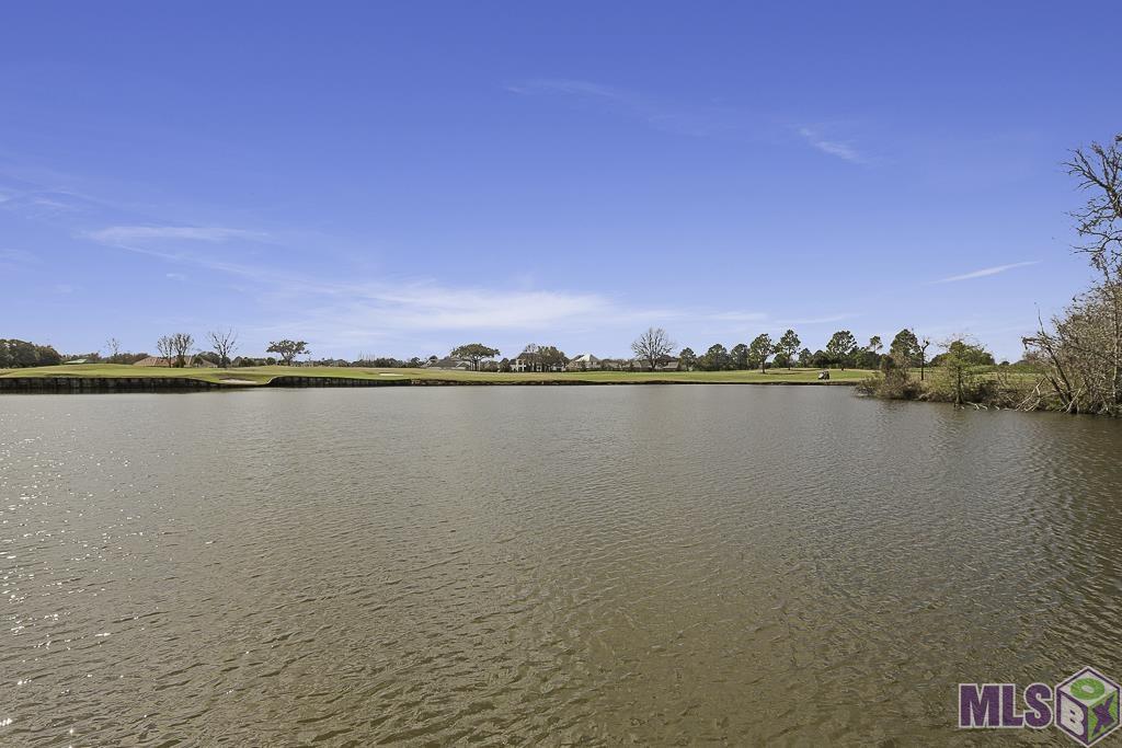 15112 Collegiate Court Baton Rouge, LA 70810 - Photo 51 of 56