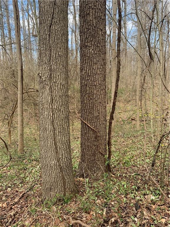 9549 Owl Hollow Road Poland, IN 47868 - Photo 12 of 34 Gallery Image 12