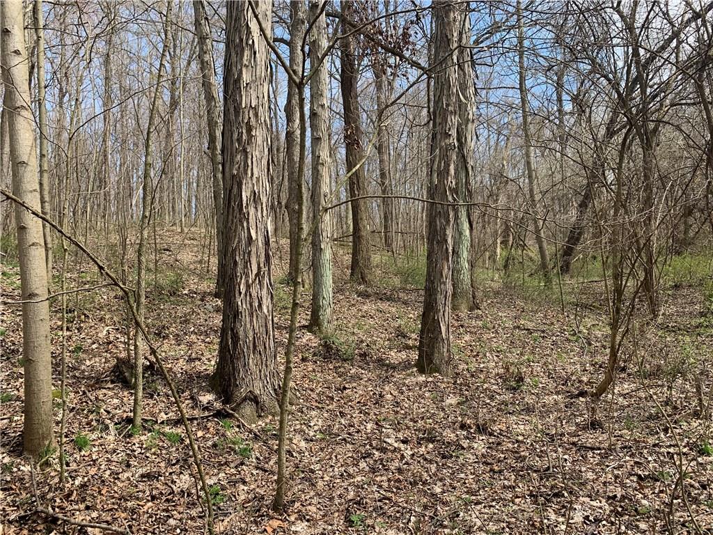 9549 Owl Hollow Road Poland, IN 47868 - Photo 3 of 34 Gallery Image 3
