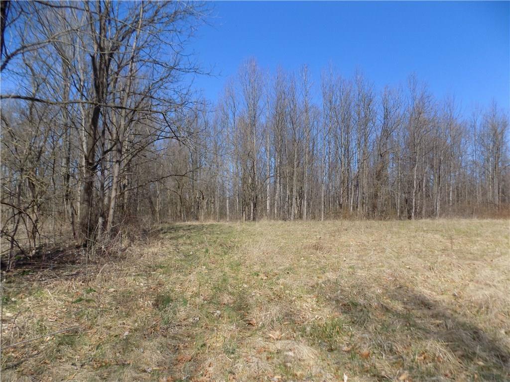 9549 Owl Hollow Road Poland, IN 47868 - Photo 22 of 34 Gallery Image 22