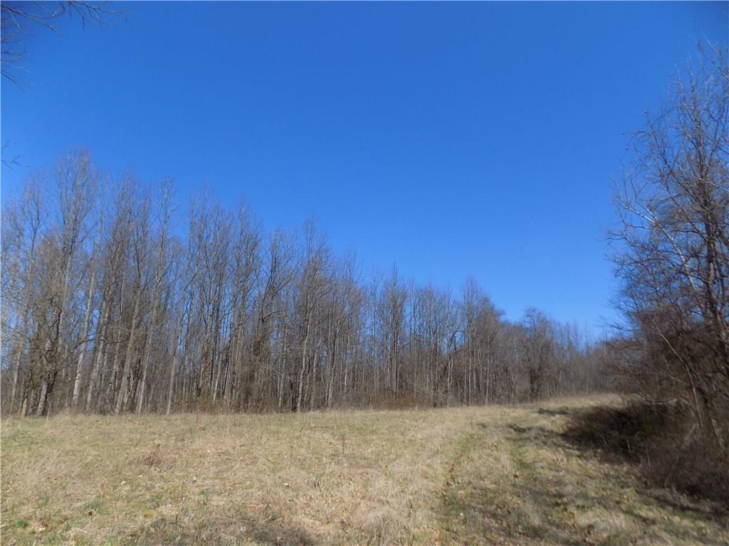 9549 Owl Hollow Road Poland, IN 47868 - Photo 23 of 34 Gallery Image 23