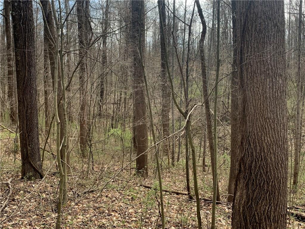 9549 Owl Hollow Road Poland, IN 47868 - Photo 7 of 34 Gallery Image 7