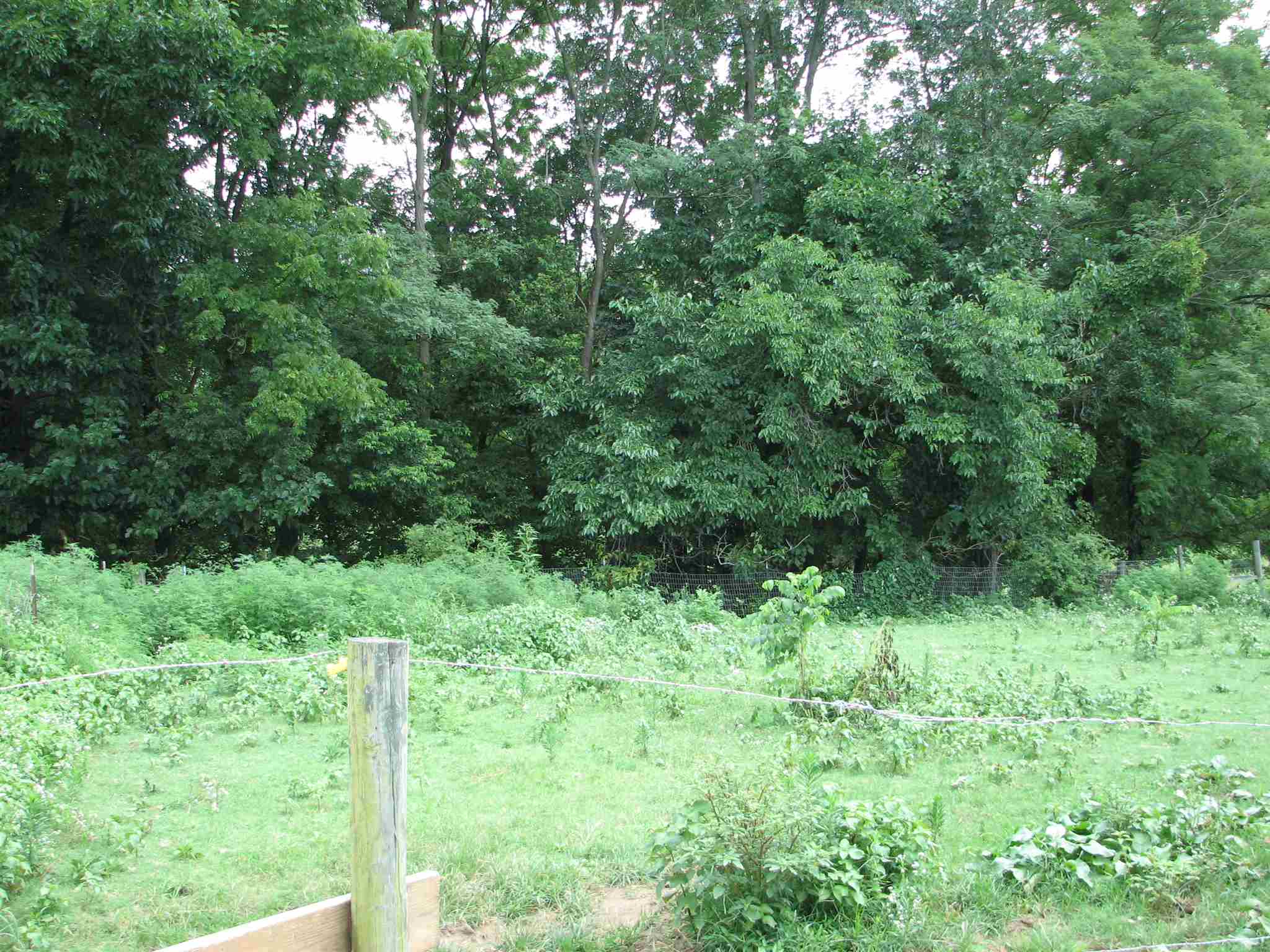 3320 Vines Road Mount Vernon, IN 47620 - Photo 34 of 36 Gallery Image 34