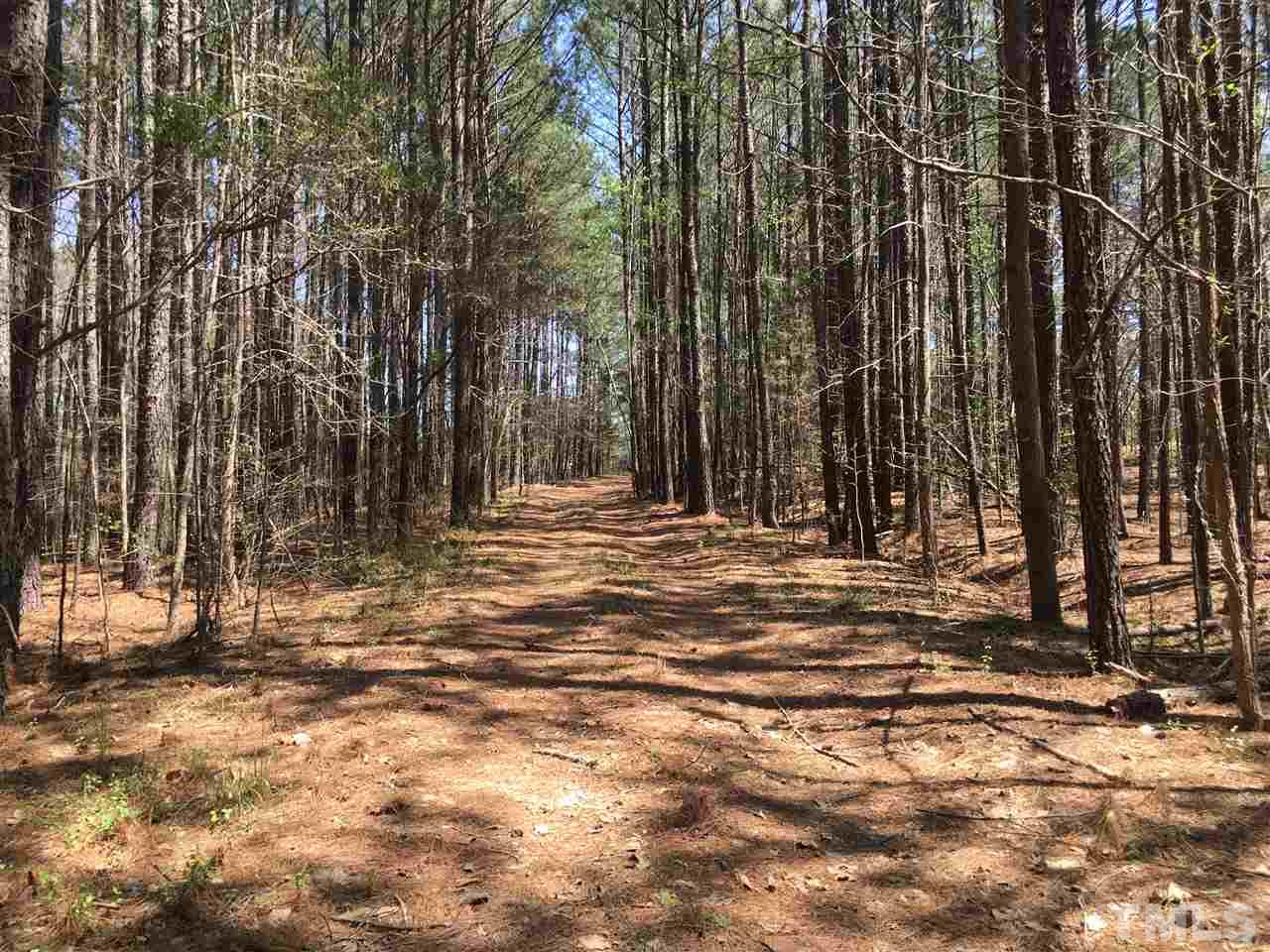 2515 Brogden Road Creedmoor, NC 27522 - Photo 3 of 10 Gallery Image 3