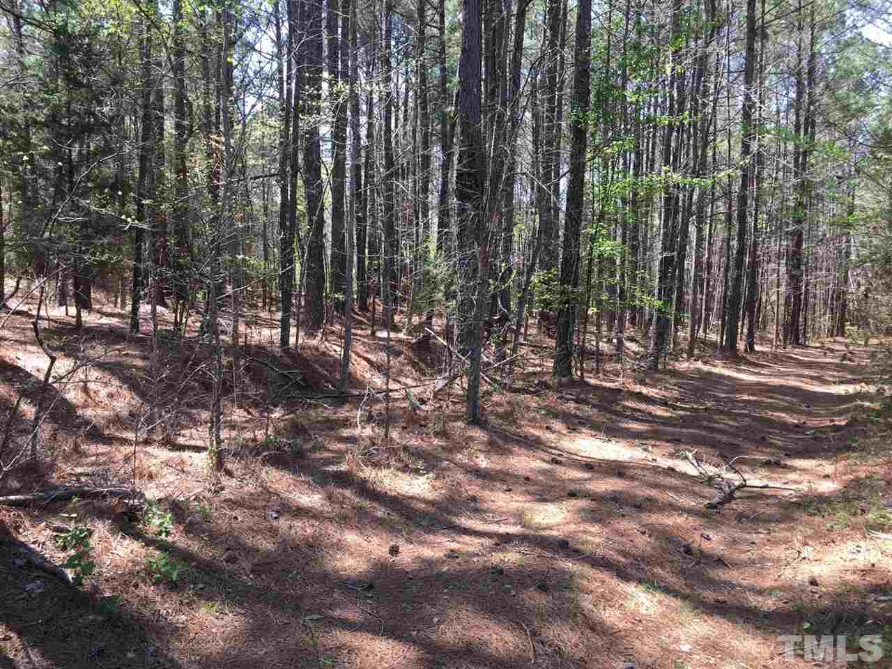 2515 Brogden Road Creedmoor, NC 27522 - Photo 5 of 10 Gallery Image 5