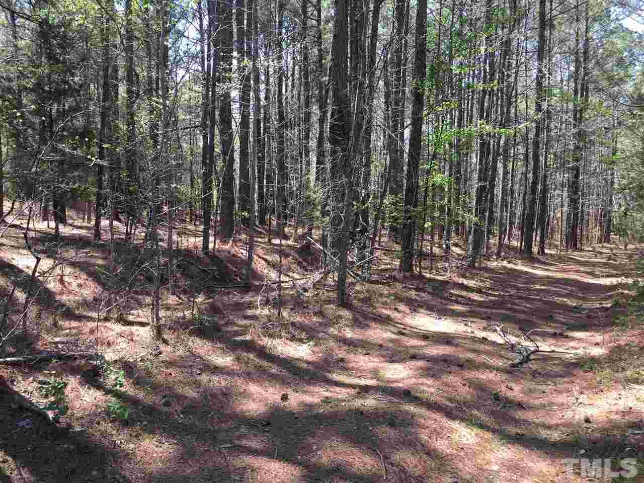 2515 Brogden Road Creedmoor, NC 27522 - Photo 6 of 10 Gallery Image 6