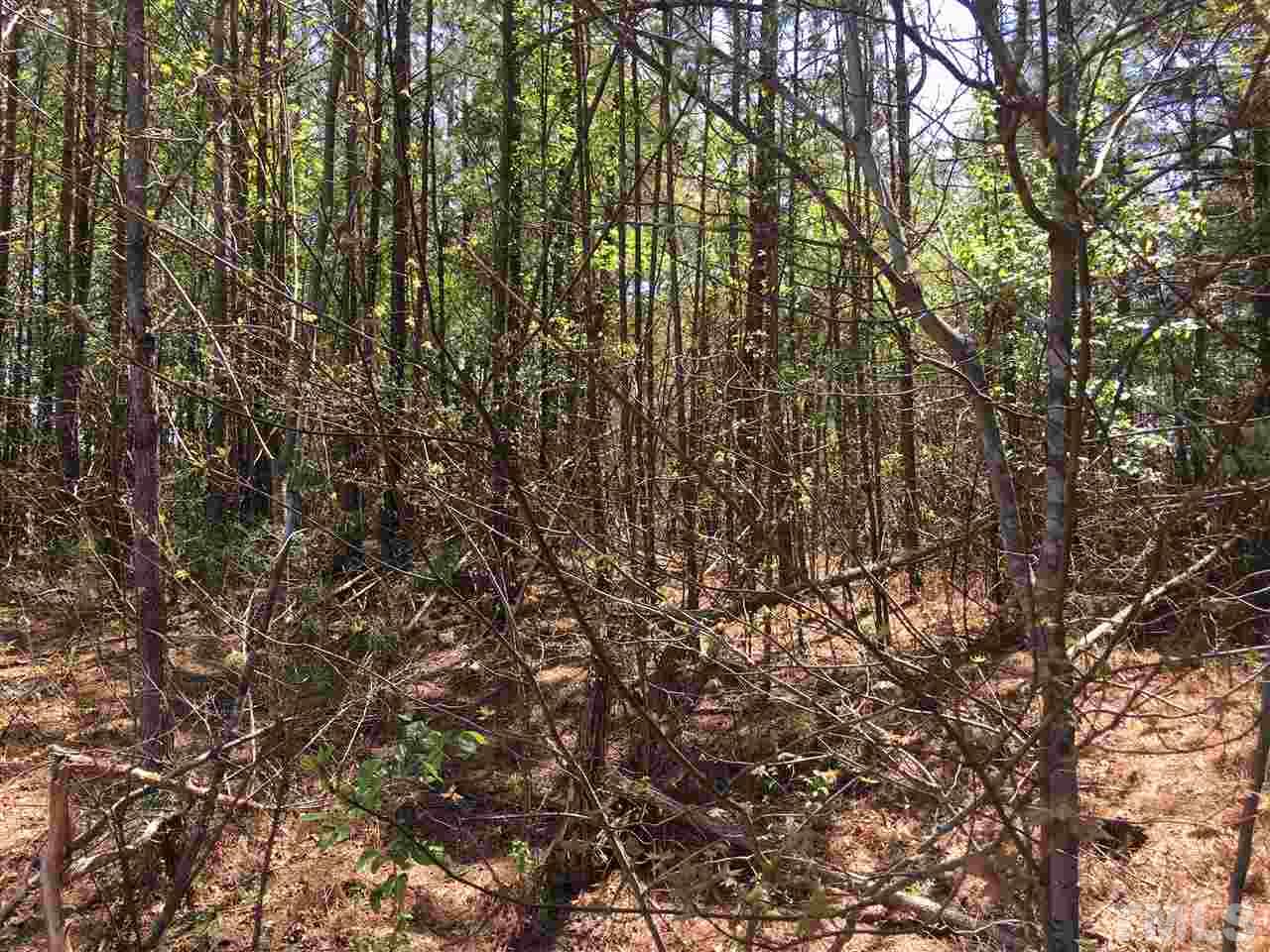 2515 Brogden Road Creedmoor, NC 27522 - Photo 7 of 10 Gallery Image 7