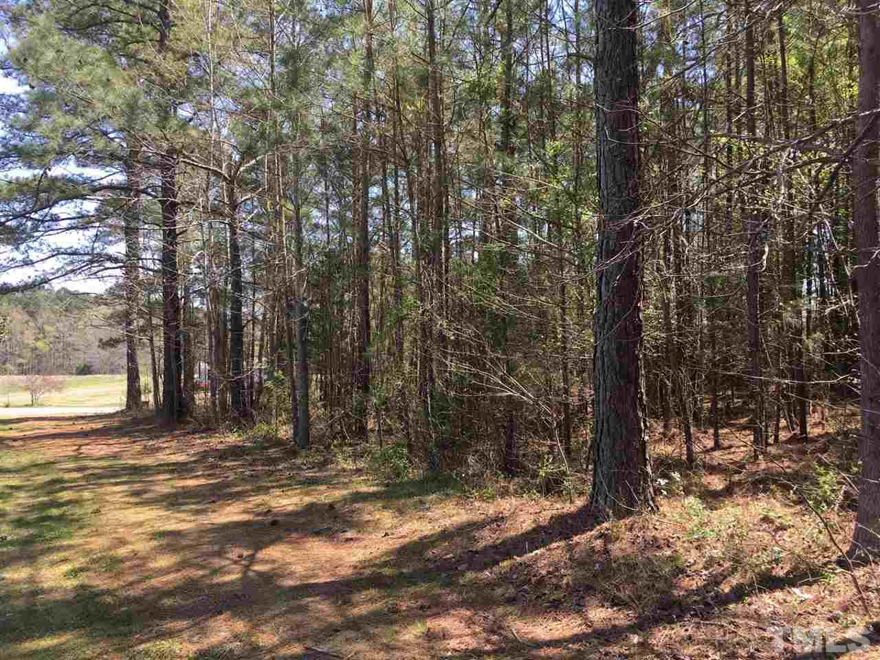 2515 Brogden Road Creedmoor, NC 27522 - Photo 9 of 10 Gallery Image 9