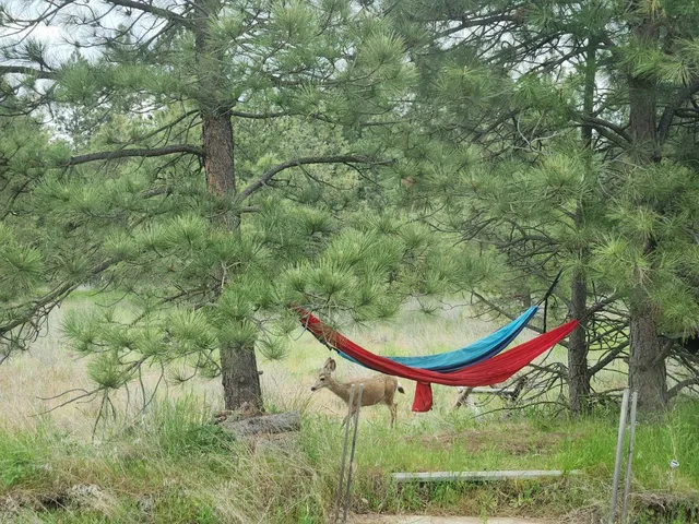 $198,000 | 20307 West Sterling Road, Unit PARCEL 12312 9018, Cheney, WA 99004