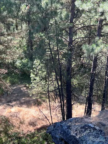 $198,000 | 20307 West Sterling Road, Unit PARCEL 12312 9018, Cheney, WA 99004