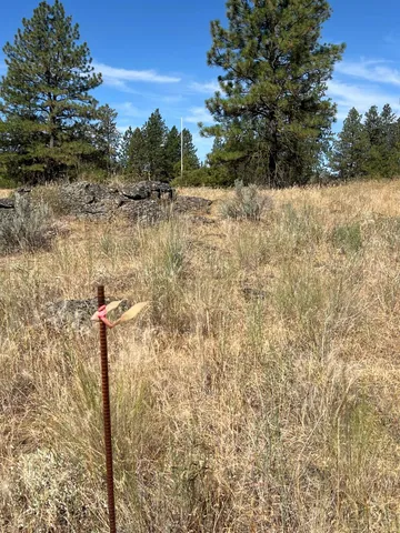 $198,000 | 20307 West Sterling Road, Unit PARCEL 12312 9018, Cheney, WA 99004