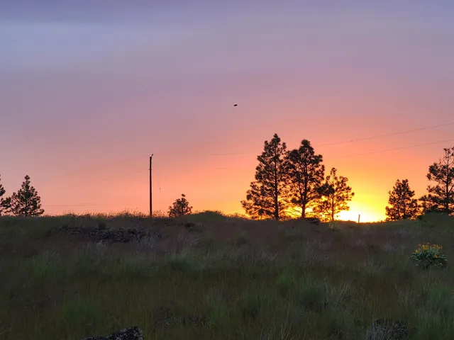 $198,000 | 20307 West Sterling Road, Unit PARCEL 12312 9018, Cheney, WA 99004