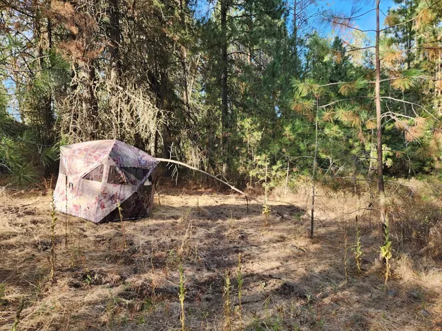 $198,000 | 20307 West Sterling Road, Unit PARCEL 12312 9018, Cheney, WA 99004