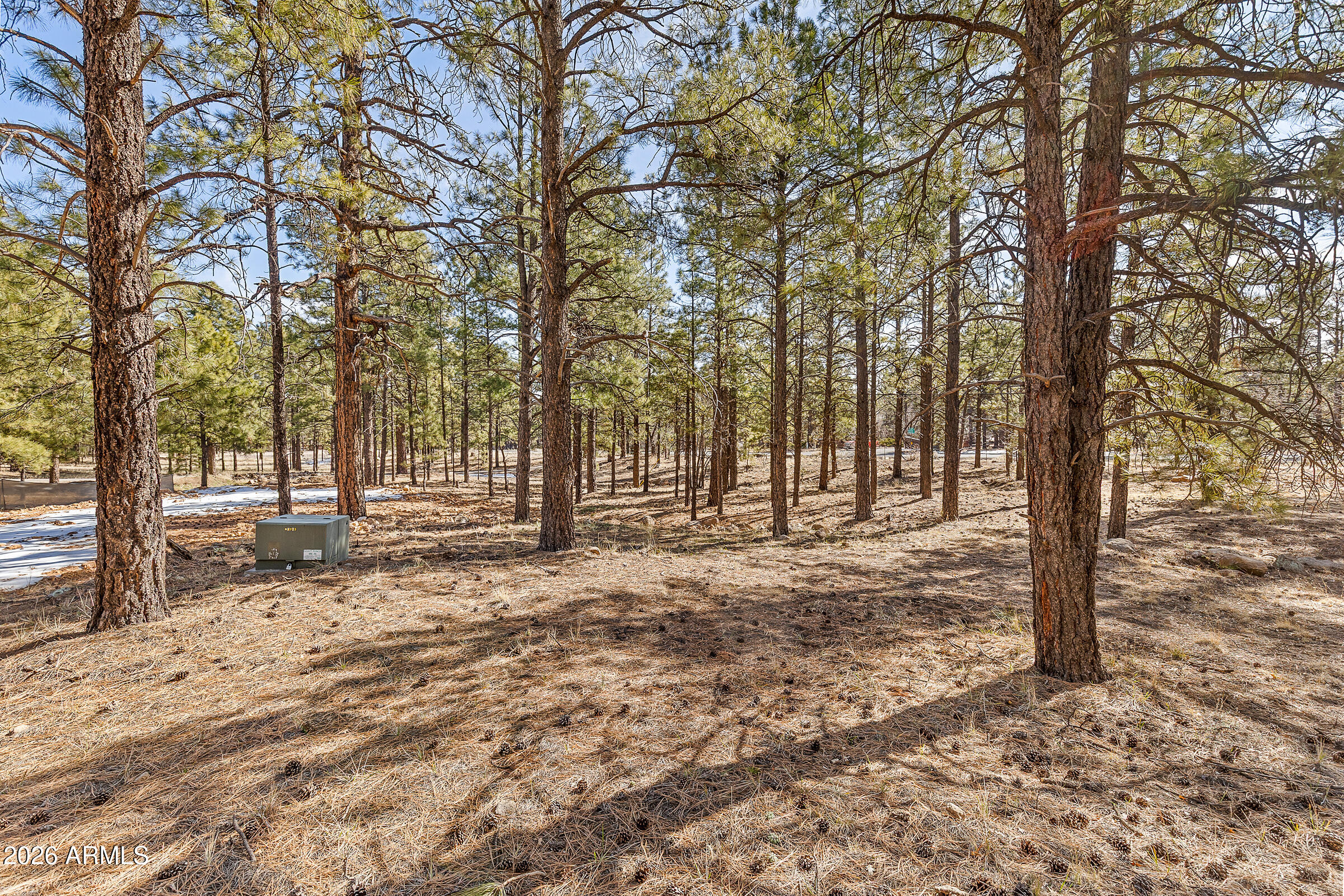 5055 Townsend-Winona Road, Unit 3 Flagstaff, AZ 86004 - Photo 11 of 11 a view of a yard with trees