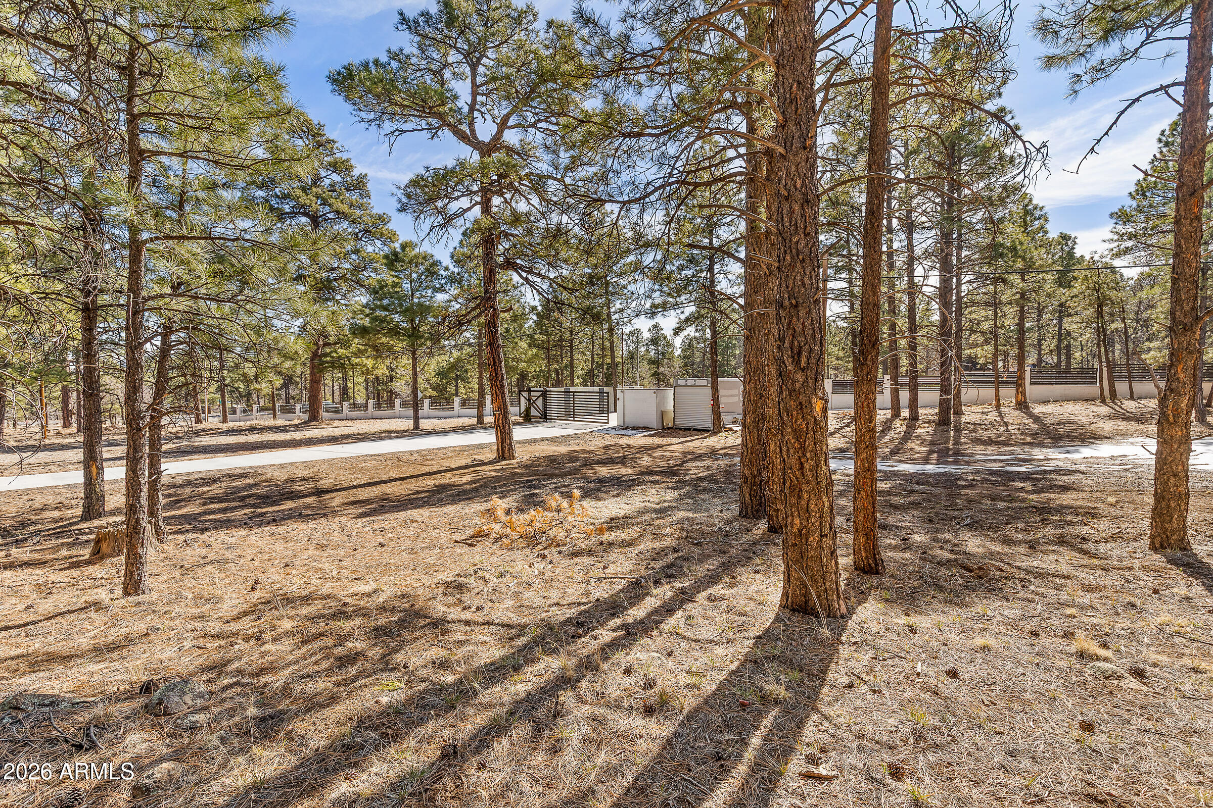 5055 Townsend-Winona Road, Unit 3 Flagstaff, AZ 86004 - Photo 9 of 11 a view of a yard with trees