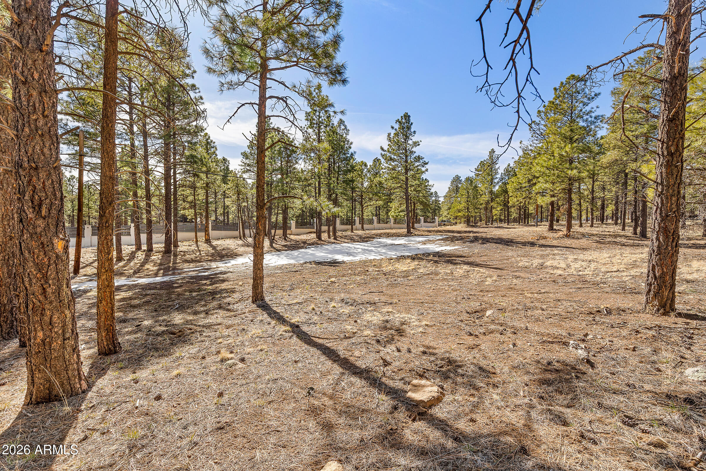 5055 Townsend-Winona Road, Unit 3 Flagstaff, AZ 86004 - Photo 10 of 11 a view of dirt yard with a large tree