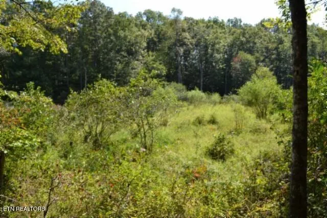 $425,000 | 17.13-ac Taylor Place Road, Jamestown, TN 38556