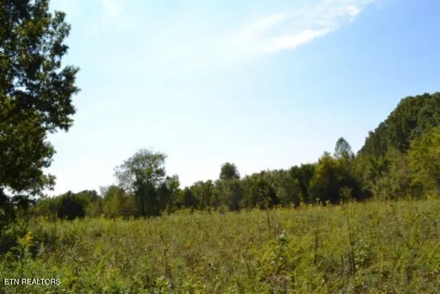 $425,000 | 17.13-ac Taylor Place Road, Jamestown, TN 38556