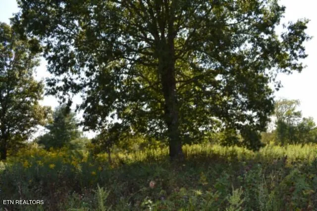 $425,000 | 17.13-ac Taylor Place Road, Jamestown, TN 38556