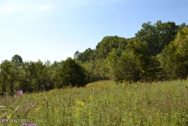 $425,000 | 17.13-ac Taylor Place Road, Jamestown, TN 38556