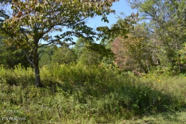 $425,000 | 17.13-ac Taylor Place Road, Jamestown, TN 38556