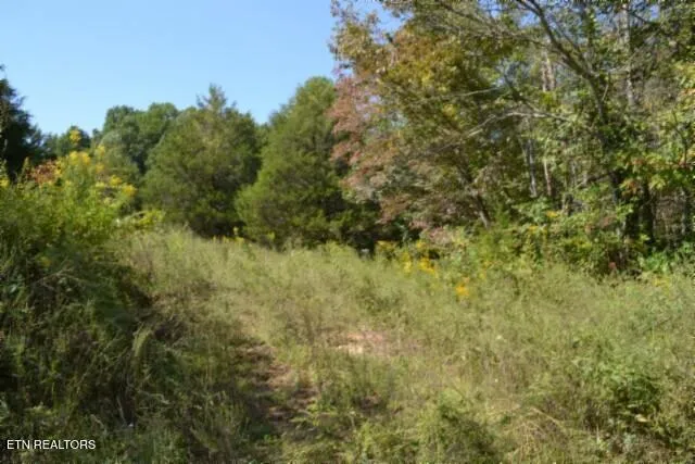 $425,000 | 17.13-ac Taylor Place Road, Jamestown, TN 38556