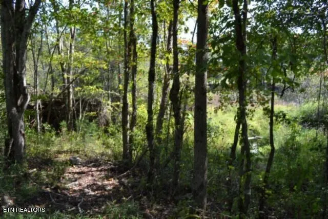 $425,000 | 17.13-ac Taylor Place Road, Jamestown, TN 38556