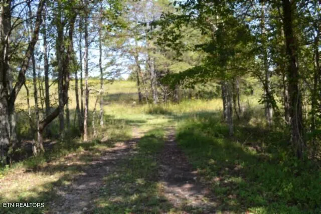 $425,000 | 17.13-ac Taylor Place Road, Jamestown, TN 38556