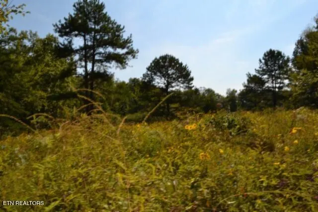 $425,000 | 17.13-ac Taylor Place Road, Jamestown, TN 38556