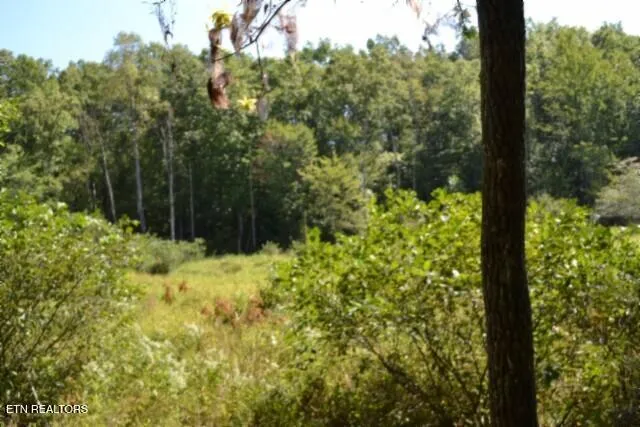 $425,000 | 17.13-ac Taylor Place Road, Jamestown, TN 38556