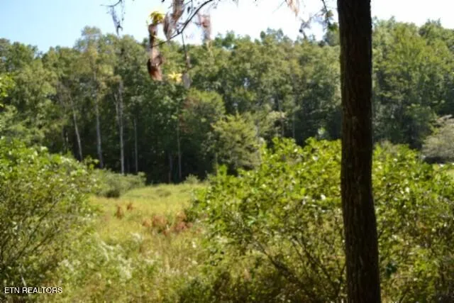 $425,000 | 17.13-ac Taylor Place Road, Jamestown, TN 38556