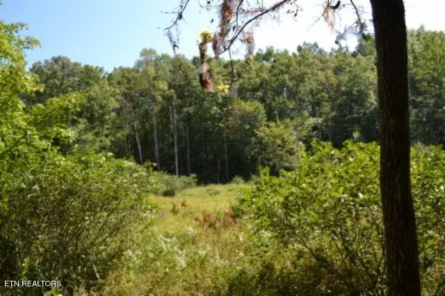 $425,000 | 17.13-ac Taylor Place Road, Jamestown, TN 38556