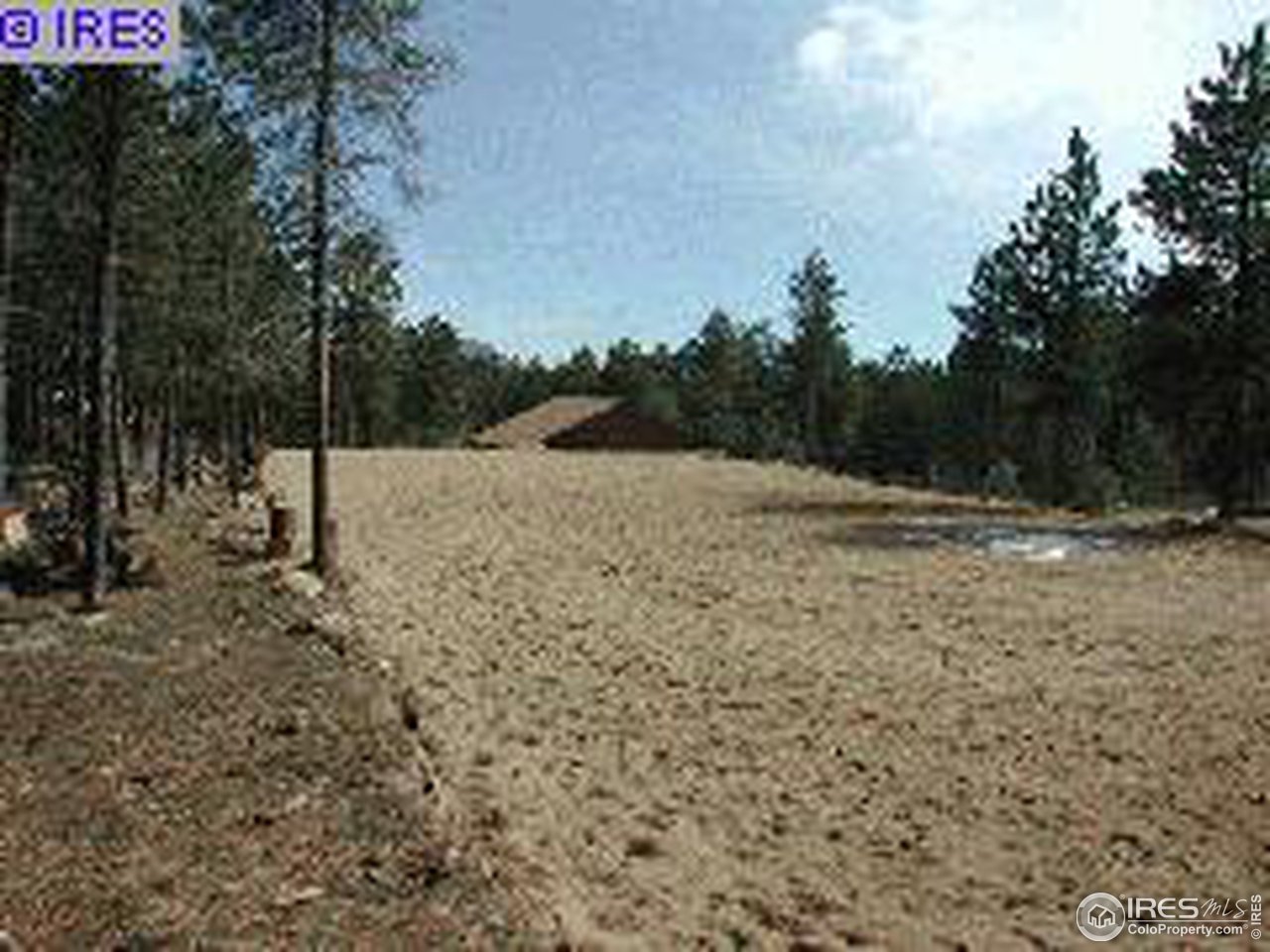 278 Pine Road Golden, CO 80401 - Photo 3 of 3 a view of a yard with trees in the background