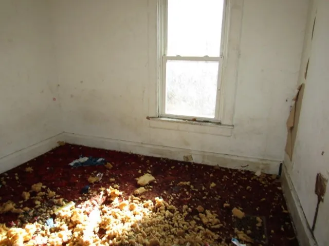 a view of a pathway of a house