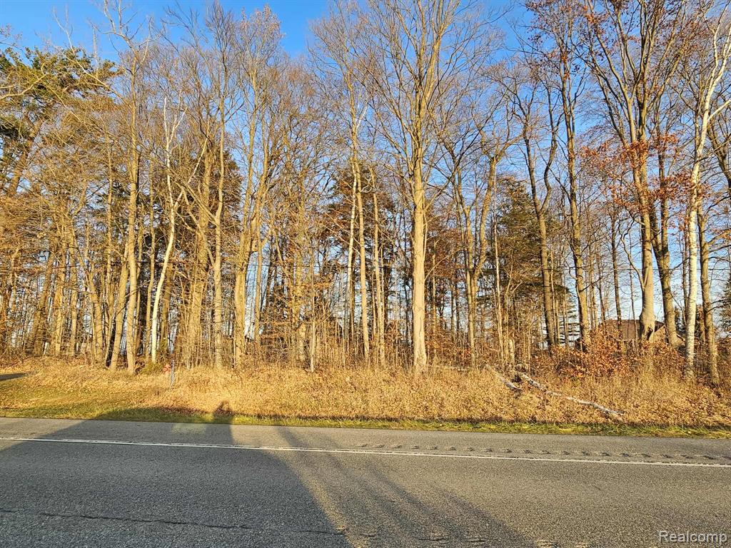 0 North Lakeshore Road Port Sanilac, MI 48469 - Photo 4 of 9